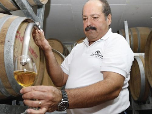 El vino local seduce los paladares ecuatorianos